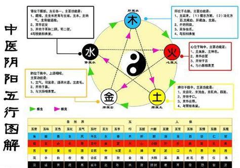 金生水意思|五行之中金生水，坚硬的金属，怎么能生水呢？